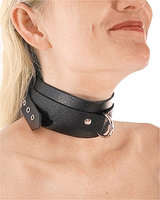 Halsband aus festem Leder mit D-Ring - zum Schließen ins Bild klicken